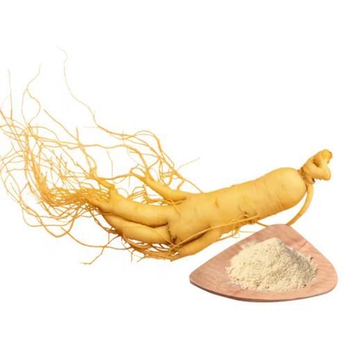 Ginseng Blanc En Poudre  - Performance Physique Et Mental