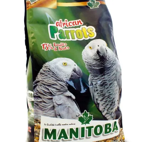 African Parrots 2 Kg