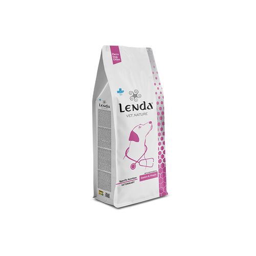 Vet Chien: Gastro & Atopic 2 Kg ( Hypoallergenic- Sensitive)