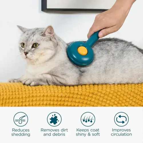 Brosse De Toilettage Pour Chats Et Chiens,élimine Les Poils Lâches Couleur Aléatoire