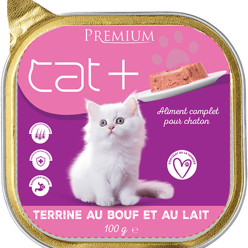 Cat+ Premium Kitten With Beef And Milk