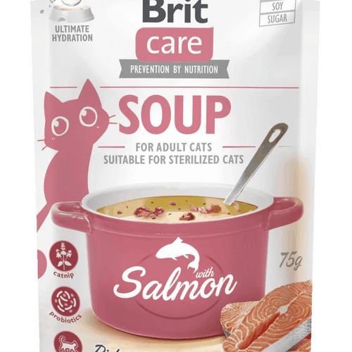 Care Soupe Au Saumon Pour Chats