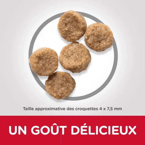 Science Plan Aliment Pour Chien Adulte Mature 7+ Small And Mini Au Poulet 