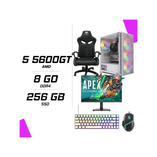 Pc Gamer Amd Ryzen 5 5600gt + Hybrok Hp24ifl120 24 120hz + Esg M2 Flash + Nova Cp68 + Hybrok Fighter