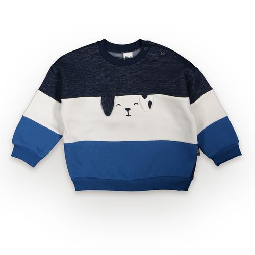 Pull Molletonné Chiot