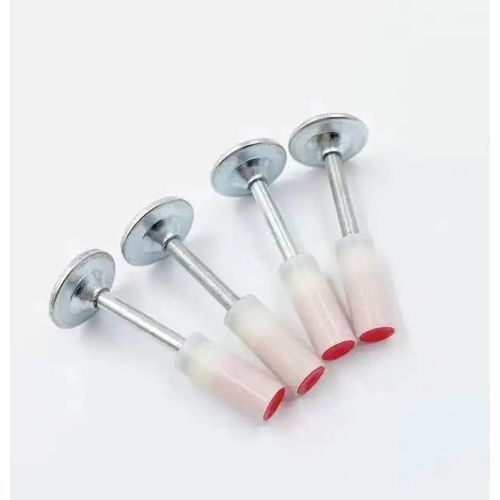 Clous En Acier Galvanisé Avec Tête En Plastique Lot De 50 Clous
