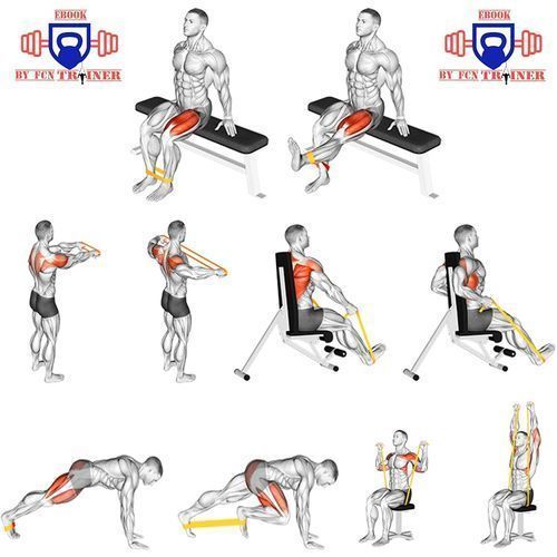 Bandes Élastiques de Fitness et Musculation 