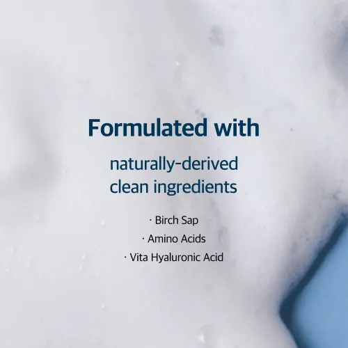 Round Lab Birch Juice Moisturizing Cleansèr - 150ml