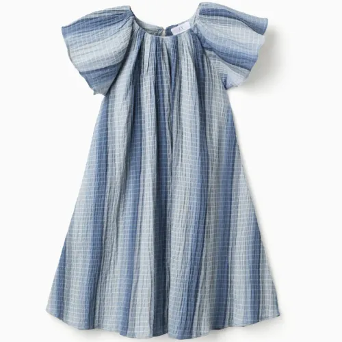 A-line Cotton Dress With Butterfly Sleeves For Girls, Blue
