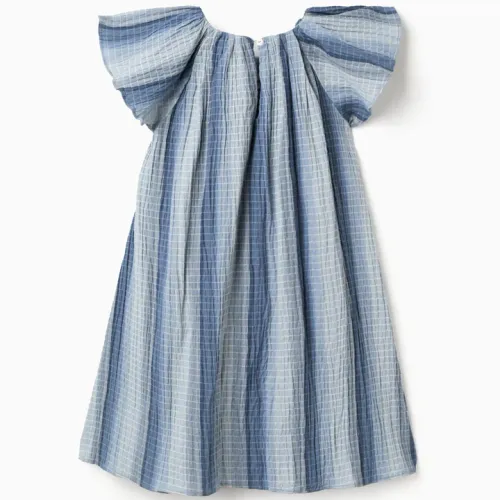 A-line Cotton Dress With Butterfly Sleeves For Girls, Blue
