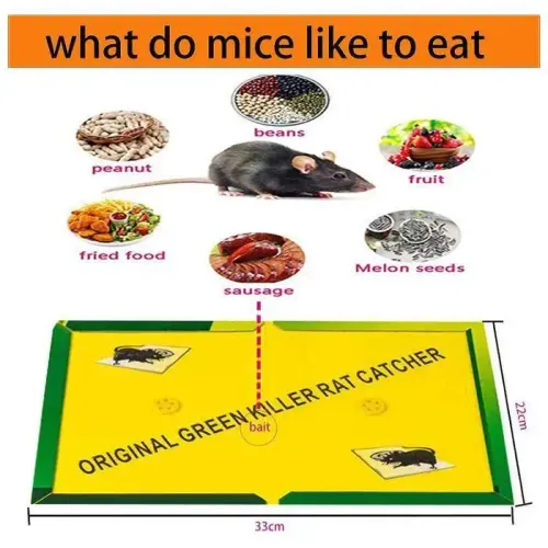 Lot De 3 Pièges À Colle Souris Et Rats Non Toxiques – Panneaux Adhésifs