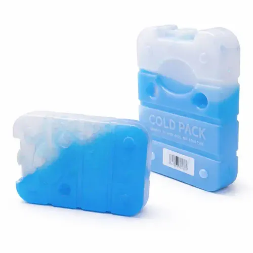 Lot De 2 En Gel De Accumulateur De Froid Glacières Et Sacs Isothermes