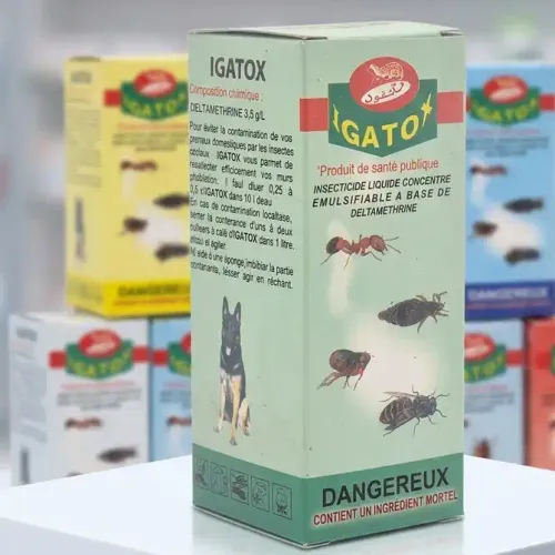 Igatox Solution Efficace Contre Les Insectes Pour Chiens
