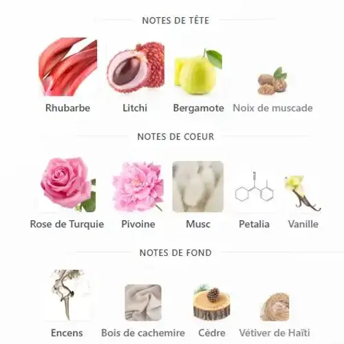 Anfar Rosella Pour Femme 1950, Extrait De Parfum, Litchi, Rhubarbe, Bergamote Et Muscade 100 Ml