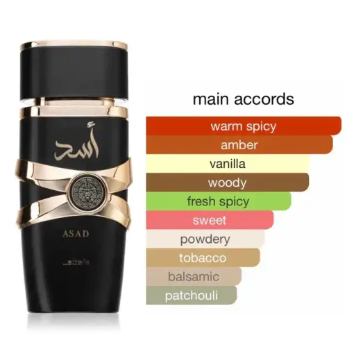 Asad Eau De Parfum 100 Ml Homme