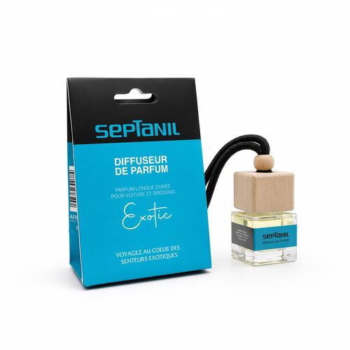 Diffuseur De Voiture Exotic