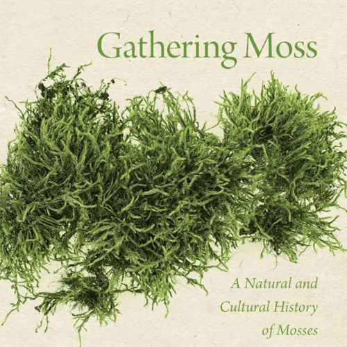 Gathering Moss