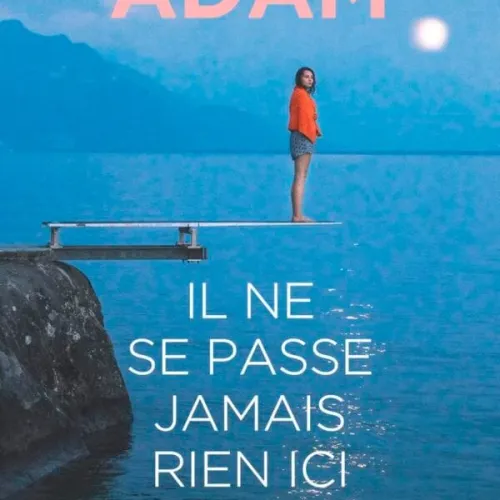 Il Ne Se Passe Jamais Rien Ici: Roman