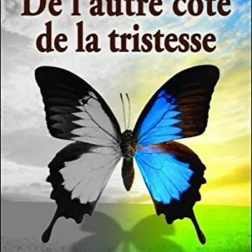 De L’autre Côté De La Tristesse