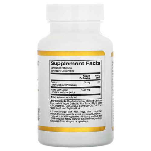 Mastic Gum