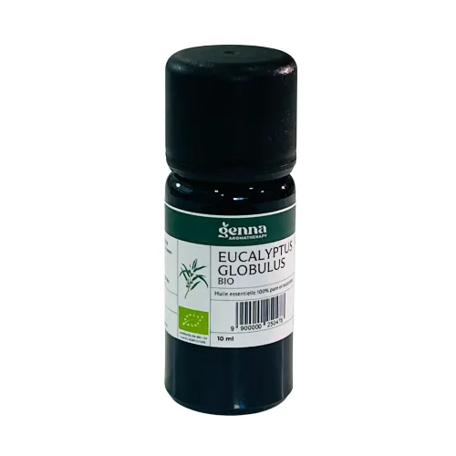 Huile Essentielle D’eucalyptus Globulus Bio 