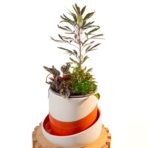 Cache Pot Artisanal, Rouge Orange