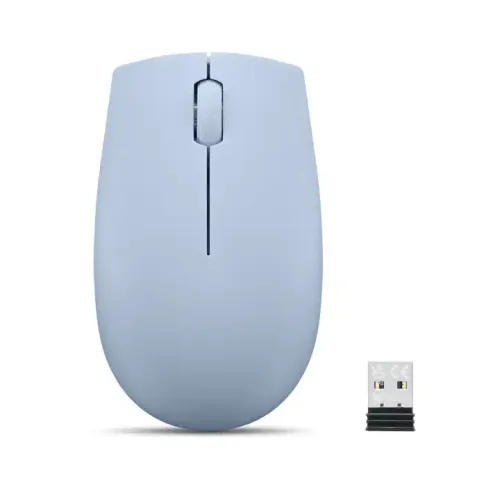 Souris Sans Fil 300 Wireless Compact 1000 Dpi 