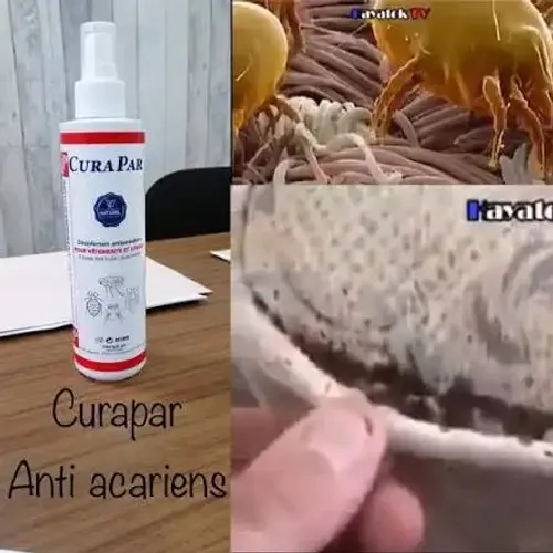 Désinfectant Antiparasitaire Naturel