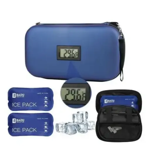 Boîte Isotherme Portable Avec Affichage De Température