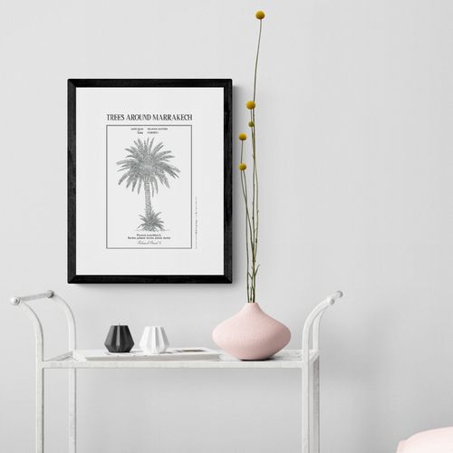 Affiche planche botanique PALMIER