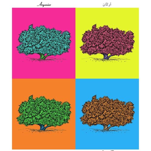 Affiche planche botanique ARGANIER version POP