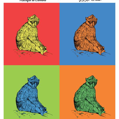 Affiche de la planche zoologique MACAQUE de BARBARIE version POP