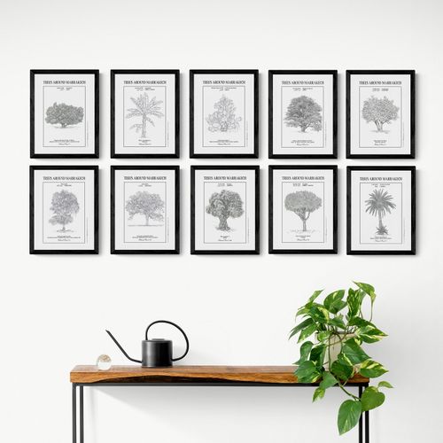 Collection intégrale des 10 affiches des planches botaniques en format A4