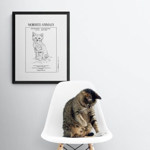 Affiche de la planche zoologique CHAT DES SABLES