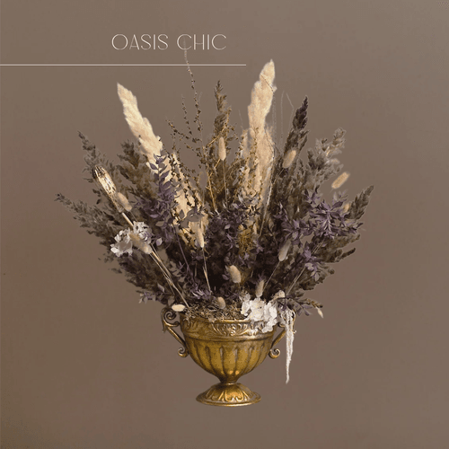 Oasis Chic 
