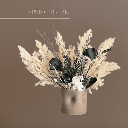 Spring Break