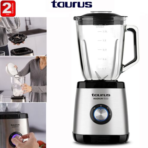 Blender Magnum 1300
