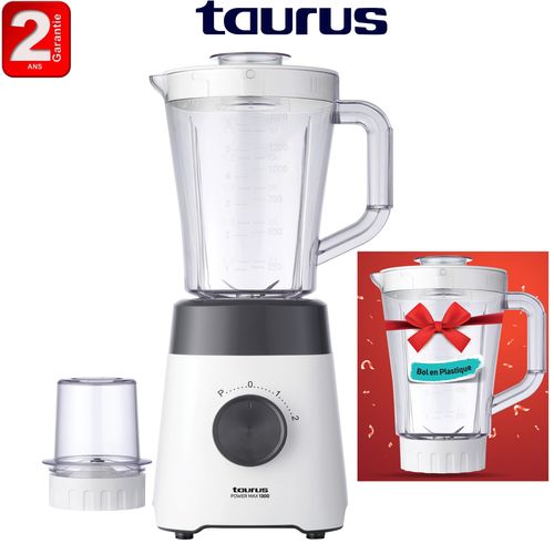 Blender POWER MAX 1300