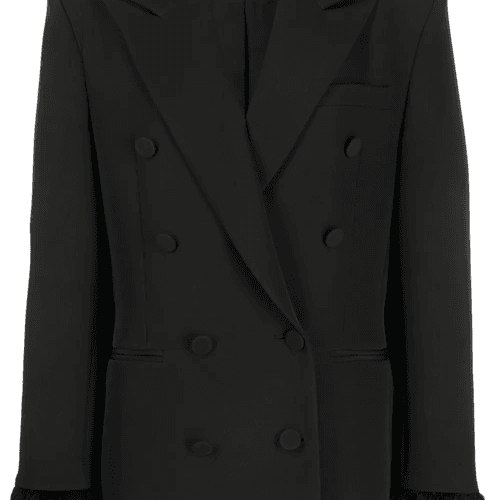 BLAZER À POLGNETS ORNES DE PLUMES 