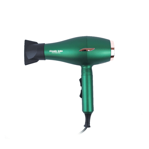 SÈCHE-CHEVEUX PROFESSIONNEL  S-005