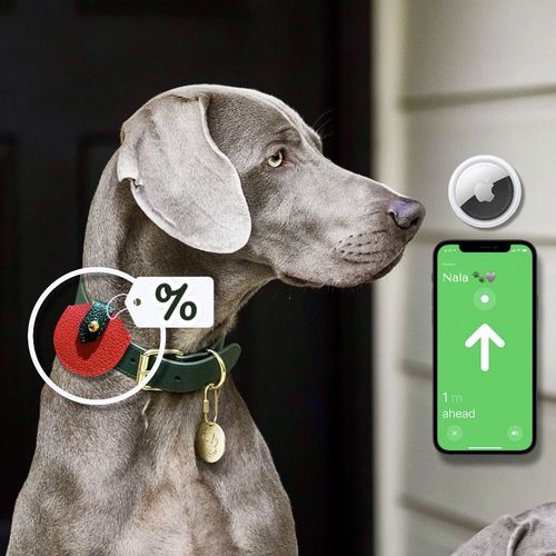 Étui en Cuir pour AirTag