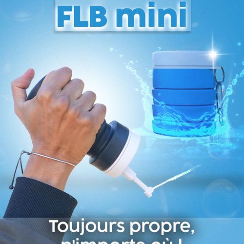 FLB MINI