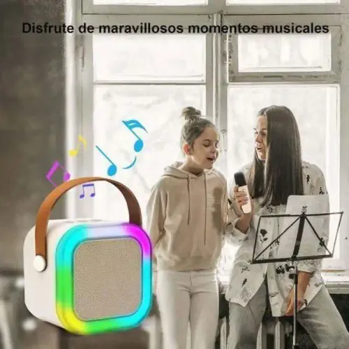 Haut-parleur Bluetooth Karaoké - 2 Microphone Inclus - couleur aléatoire