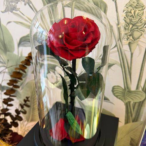 Rose Éternelle Love