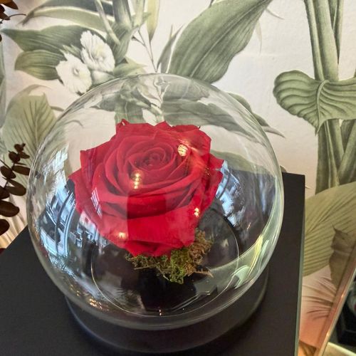 Rose éternelle boulle