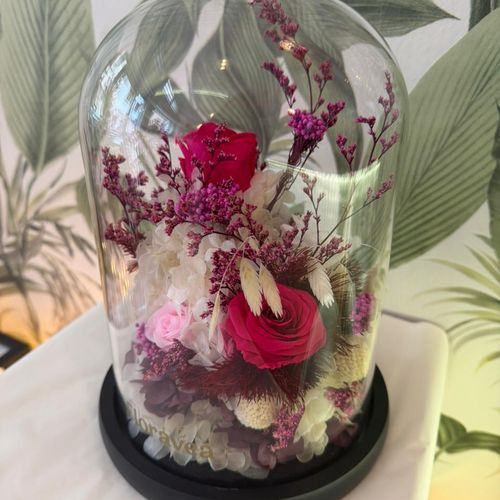 compo éternelle rose