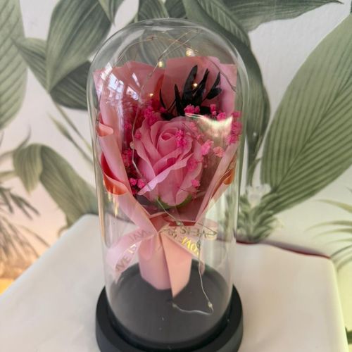 Rose bébé 