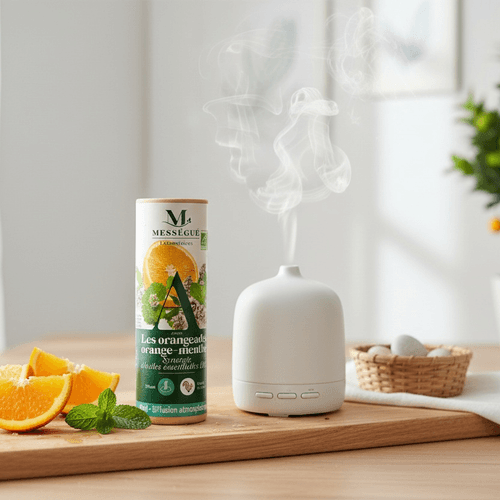 Les Orangeades Menthe - Synergie