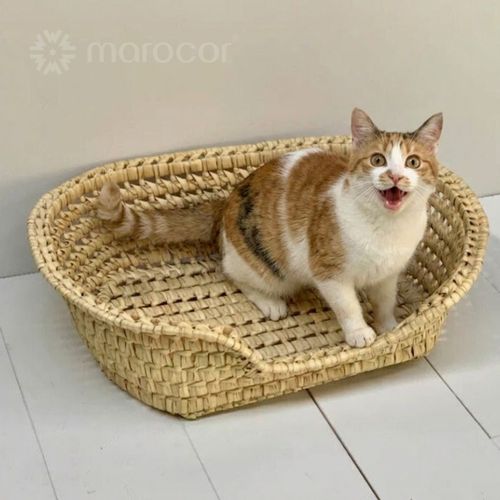 Lit De Repos Artisanal Ovale En Osier Tressé Pour Animaux De Compagnie