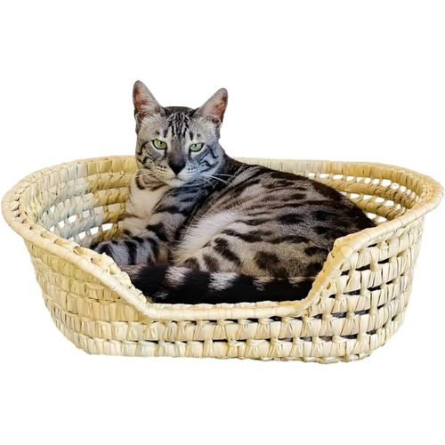 Lit De Repos Artisanal Ovale En Osier Tressé Pour Animaux De Compagnie